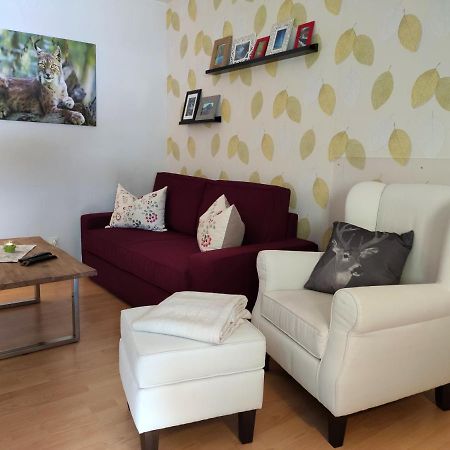 Ferienwohnung Harzluchs Mit Balkon, Netflix Und Sauna Im Haus Hohegeiß المظهر الخارجي الصورة