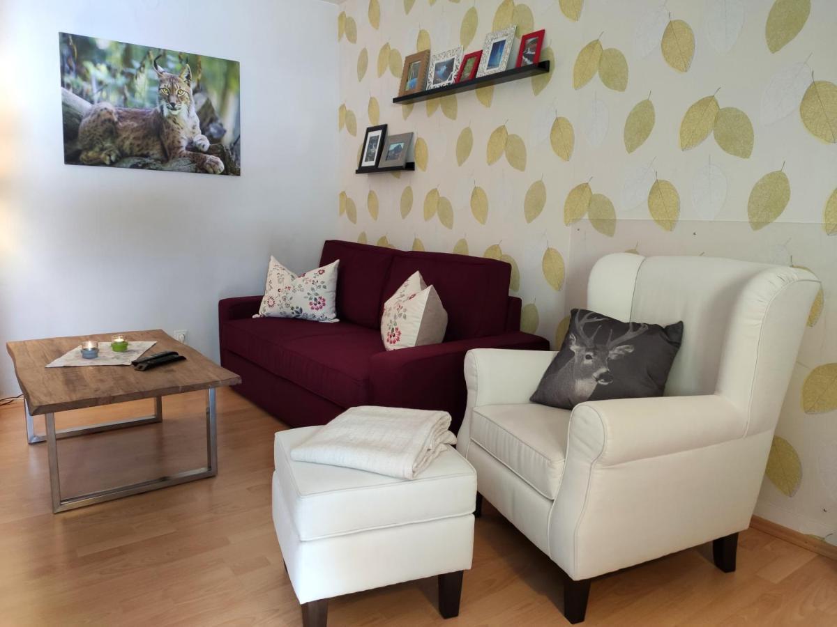 Ferienwohnung Harzluchs Mit Balkon, Netflix Und Sauna Im Haus Hohegeiß المظهر الخارجي الصورة