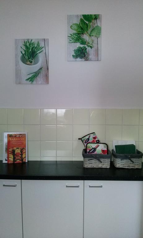 Ferienwohnung Harzluchs Mit Balkon, Netflix Und Sauna Im Haus Hohegeiß الغرفة الصورة