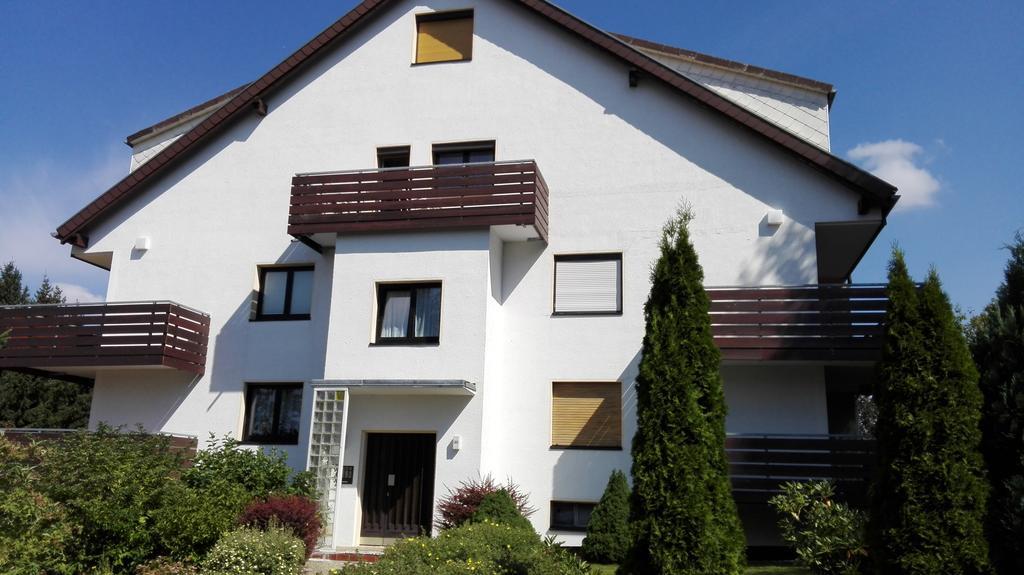 Ferienwohnung Harzluchs Mit Balkon, Netflix Und Sauna Im Haus Hohegeiß الغرفة الصورة