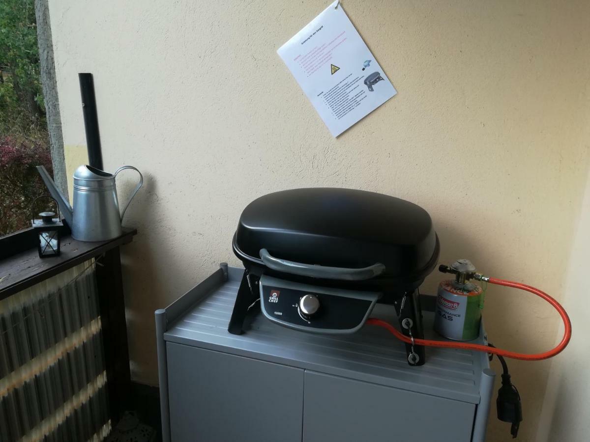 Ferienwohnung Harzluchs Mit Balkon, Netflix Und Sauna Im Haus Hohegeiß المظهر الخارجي الصورة